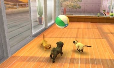 Nintendo Nintendo Nintendogs + Cats: French Bulldog, 3DS ví