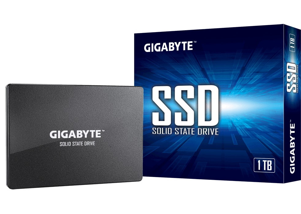 Gigabyte Gigabyte GP-GSTFS31100TNTD unidad de estado sólido