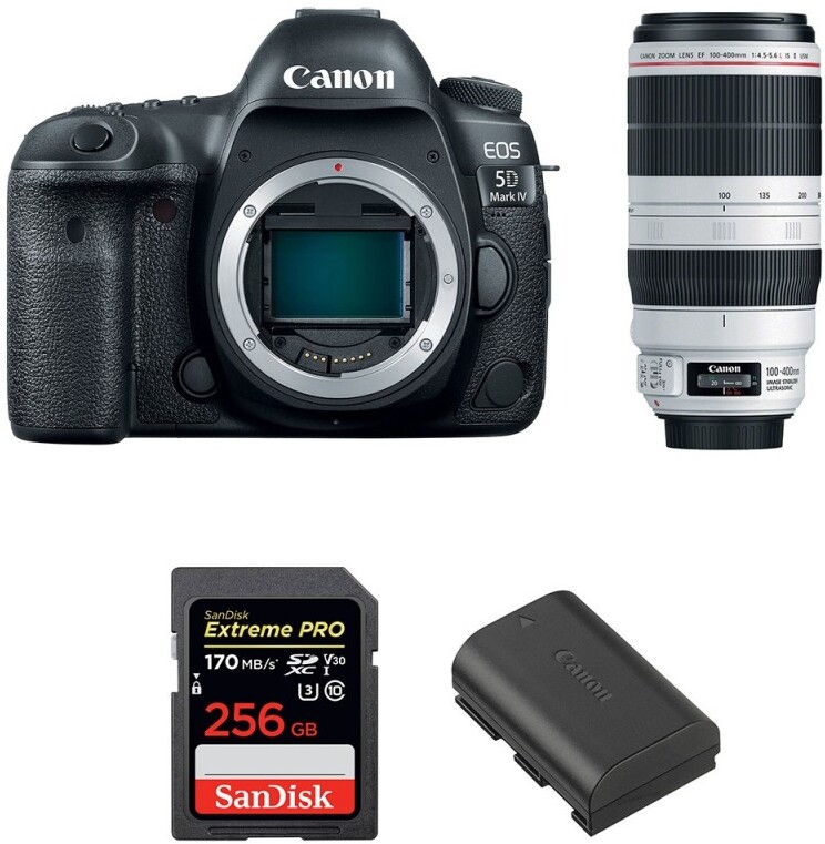 Canon EOS 5D Mark IV + EF 100-400mm f4.5-5.6L IS II USM