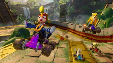 Nintendo Nintendo Crash Team Racing: Nitro-Fueled Nintendo