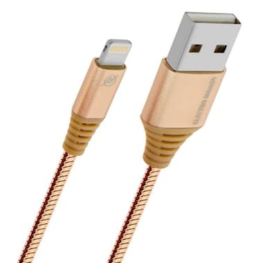 Avizar Cable Lightning a USB Carga y sincronización 1 m -